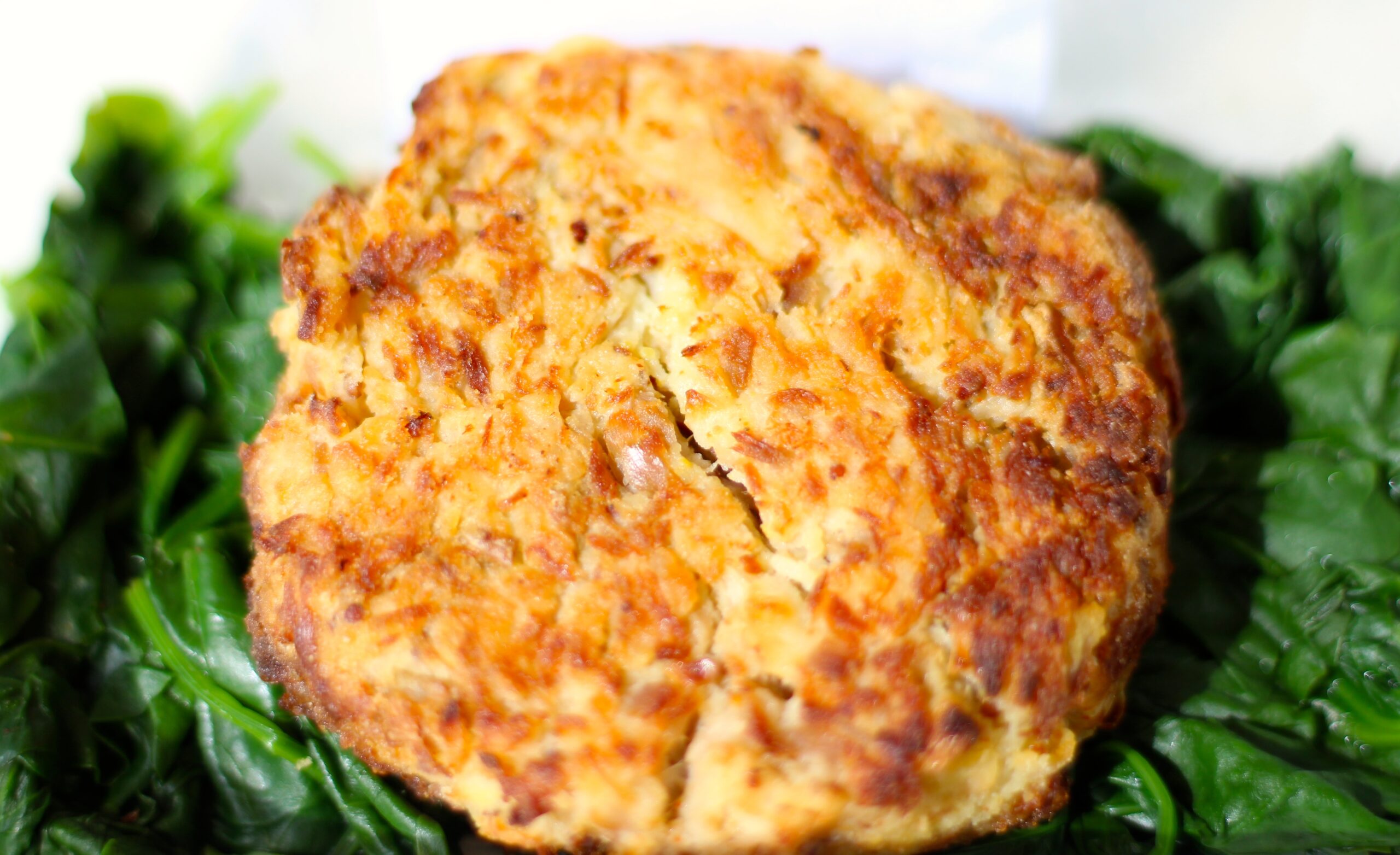 TUNA & CHIVE FISHCAKE